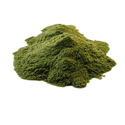 500ppm Gibberellin Plant Food Seaweed Extract Powder Seaweed Polysaccharides 40%