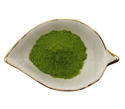 Green Seaweed Extract for Soil Improvement and Plant Health 40% Polysaccharides Powder